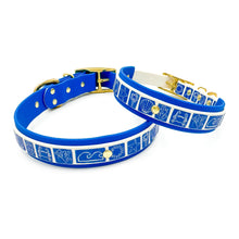 Load image into Gallery viewer, Beachy Blue Collar