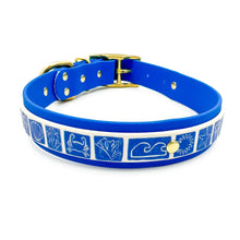 Load image into Gallery viewer, Beachy Blue Collar