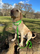 Load image into Gallery viewer, Green Checkmate Slip Lead/Figure 8 Lead