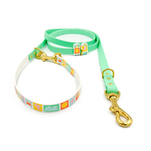 Load image into Gallery viewer, Pastel Beach Hands-free Training Lead