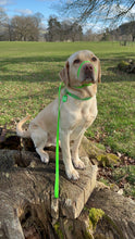 Load image into Gallery viewer, Green Checkmate Slip Lead/Figure 8 Lead