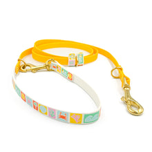 Load image into Gallery viewer, Pastel Beach Hands-free Training Lead