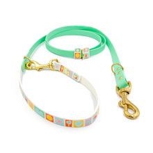 Load image into Gallery viewer, Pastel Beach Hands-free Training Lead