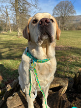 Load image into Gallery viewer, Mystery Mutts Traffic Handle