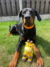 Load image into Gallery viewer, Giraffe Print Collar