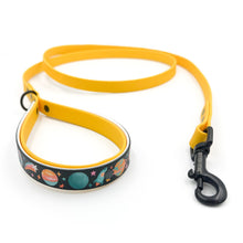 Load image into Gallery viewer, Out Of This World Classic Lead