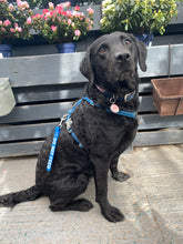 Load image into Gallery viewer, Awareness Tab