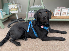 Load image into Gallery viewer, Awareness Tab