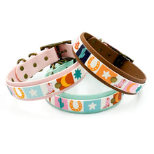 Load image into Gallery viewer, Yeehaw! Collar