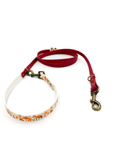 Load image into Gallery viewer, Autumn Fox Hands-free Training Lead