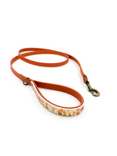 Load image into Gallery viewer, Autumn Fox Classic Lead