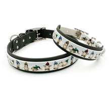 Load image into Gallery viewer, Penguin Playtime Collar