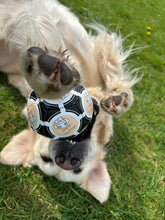 Load image into Gallery viewer, HOUNDS + HOME Ball