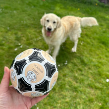Load image into Gallery viewer, HOUNDS + HOME Ball