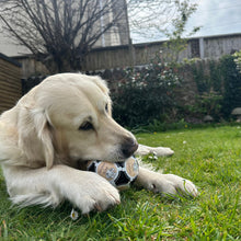 Load image into Gallery viewer, HOUNDS + HOME Ball