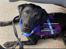 Load image into Gallery viewer, Awareness Tab