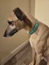 Load image into Gallery viewer, Mystery Mutts Collar