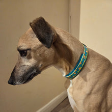 Load image into Gallery viewer, Mystery Mutts Collar