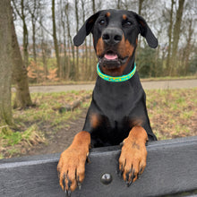 Load image into Gallery viewer, Mystery Mutts Collar