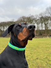 Load image into Gallery viewer, Mystery Mutts Collar