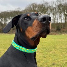 Load image into Gallery viewer, Mystery Mutts Collar