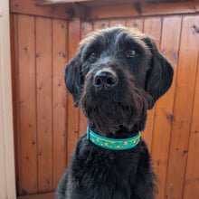 Load image into Gallery viewer, Mystery Mutts Collar