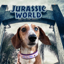 Load image into Gallery viewer, Dino Collar