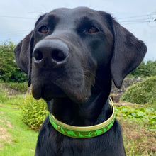 Load image into Gallery viewer, Dino Collar