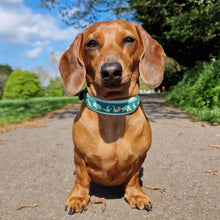 Load image into Gallery viewer, Dino Collar
