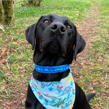 Load image into Gallery viewer, Dino Collar