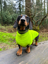 Load image into Gallery viewer, InstaDog Collar