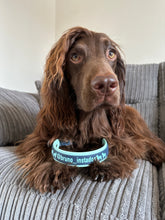 Load image into Gallery viewer, InstaDog Collar
