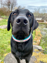 Load image into Gallery viewer, WRAPAROUND COLLAR -Design your own