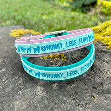 Load image into Gallery viewer, InstaDog Collar