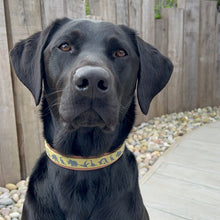 Load image into Gallery viewer, Dino Collar