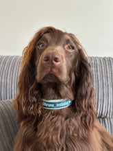 Load image into Gallery viewer, InstaDog Collar