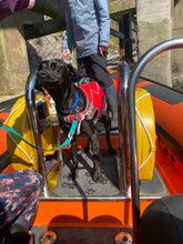 Load image into Gallery viewer, TWO-TONE TRAINING LEAD - Design your own