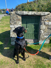 Load image into Gallery viewer, TWO-TONE TRAINING LEAD - Design your own