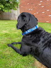 Load image into Gallery viewer, Awareness Collar