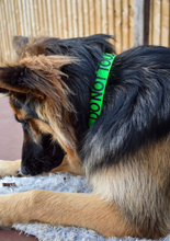 Load image into Gallery viewer, Awareness Collar