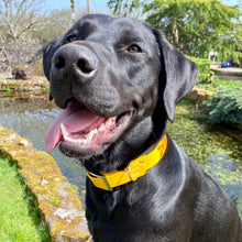 Load image into Gallery viewer, Giraffe Print Collar