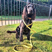 Load image into Gallery viewer, SLIP LEAD - Design your own