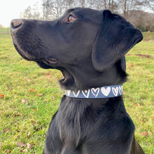 Load image into Gallery viewer, CARIAD Collar