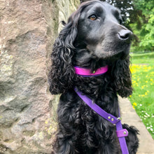 Load image into Gallery viewer, SLIP LEAD - Design your own