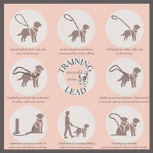 Load image into Gallery viewer, TWO-TONE TRAINING LEAD - Design your own