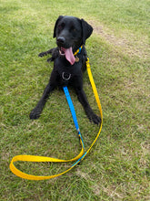 Load image into Gallery viewer, TWO-TONE TRAINING LEAD - Design your own