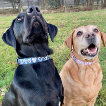 Load image into Gallery viewer, CARIAD Collar