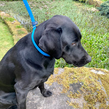 Load image into Gallery viewer, SLIP LEAD - Design your own