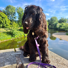 Load image into Gallery viewer, SLIP LEAD - Design your own