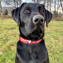 Load image into Gallery viewer, CARIAD Collar